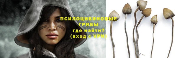 молекула духа Абинск