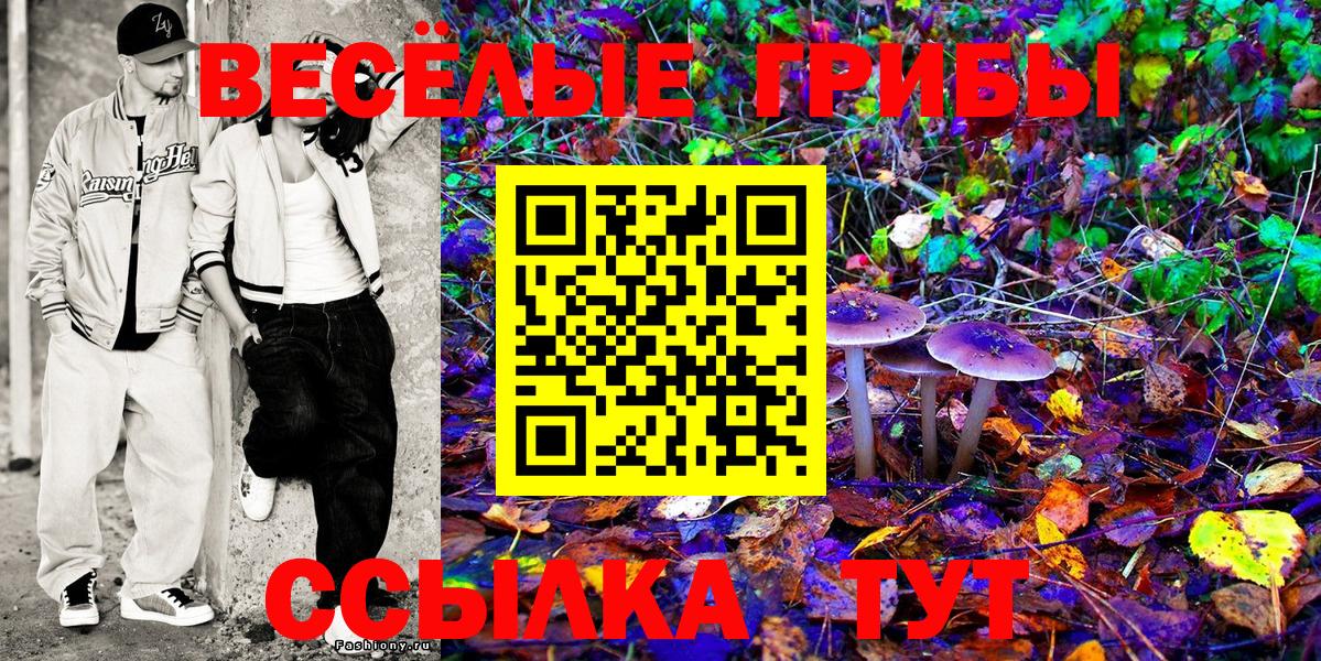 Благодарный  Псилоцибиновые грибы мицелий  Псилоцибиновые грибы Psilocybine cubensis  Вход с VPN 