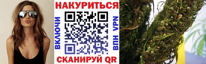 Канабис планчик  Благодарный 
